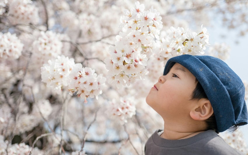 Japanese Boy Names That Mean Flower