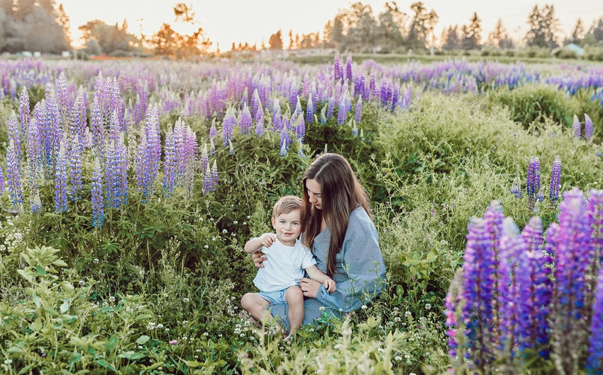 Japanese Boy Names That Mean Purple