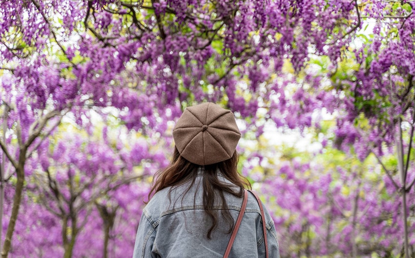 Japanese Girl Names That Mean Purple