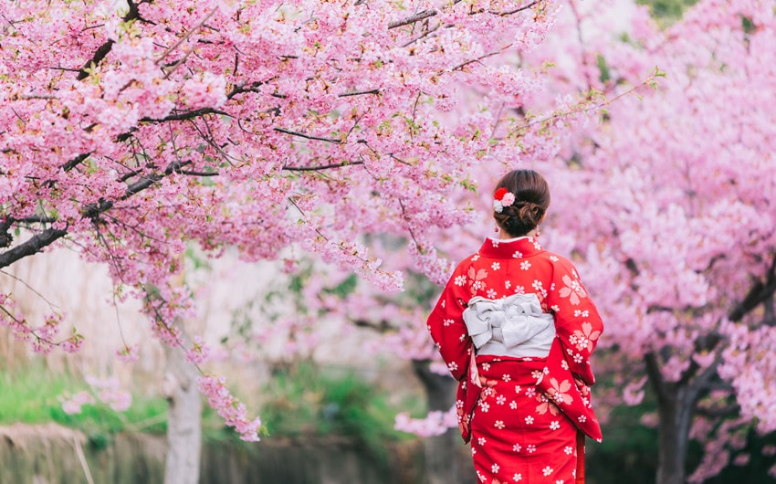 90 Beautiful Japanese Names That Mean Pink