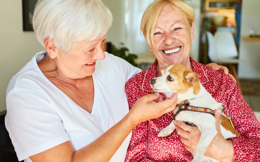 senior citizens taking care of their pets