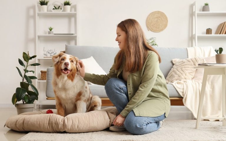 The Ultimate Guide to Pet Care for First-Time Owners