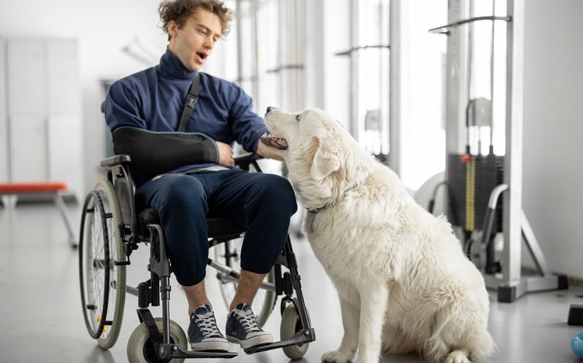 Having Pets in Rehab