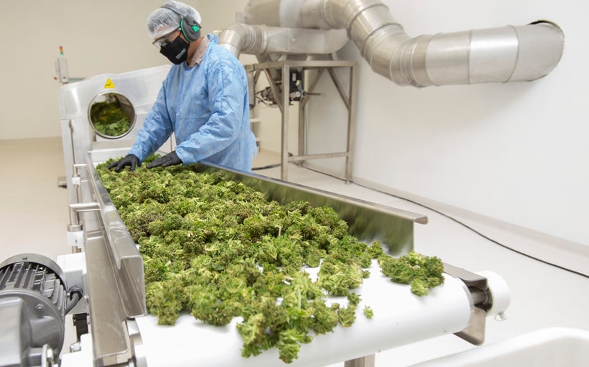 pharmaceutical companies buying cbd patents